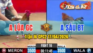 Trận 16 CPC2 17/04/2026 - Xanh Siết Quá Cựa Xám Nằm Biệt Dưới Chân