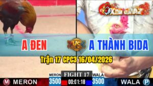 Trận 17 CPC3 16/04/2026 - Điều Đá Đòn Như Sấm Sét Vài Chân Bưng Bướm Ra Sân