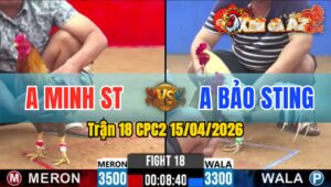 Trận 18 CPC2 15/04/2026 - Xám Nạp Quá Cựa Bướm Lìa Chân Nằm Tại Chỗ