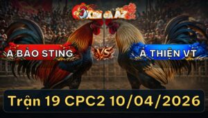 Trận 19 CPC2 10/04/2026 - Úa Lìa Đôi Cánh Vẫn Hạ Bướm Như Thường