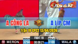 Trận 19 CPC2 13/04/2026 - Xanh Ra Chân Quá Tịch Đỏ Hư Hình Hết Sữa