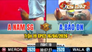 Trận 19 CPC2 16/04/2026 - Xanh Quá Tốc Độ 1 Tay Nước Đỏ Đem Ra Ngoài