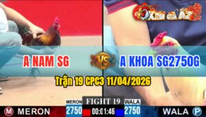 Trận 19 CPC3 11/04/2026 - ĐIỀU LEO CÂY LƯNG QUÁ ĐẲNG CẤP  BƯỚM HẾT SỬA