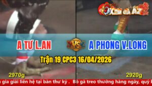 Trận 19 CPC3 16/04/2026 - Chuối Đâm Quá Đâm  Úa Xĩu Sau 1 Tay Nước
