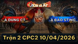 Trận 2 CPC2 10/04/2026 - Bướm Canh Trận Quá Tốt Điều Cứng Mình Bỏ Chạy