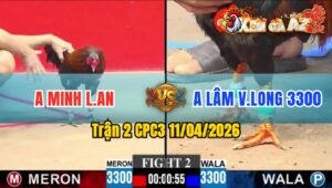 Trận 2 CPC3 11/04/2026 - ĐỎ DÍNH CỰA NẶNG HƠN HƯ HÌNH . XANH VỀ