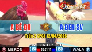 Trận 2 CPC3 12/04/2026 - A BÉ MỞ BÁT GIEO SẦU CHO ANH EM