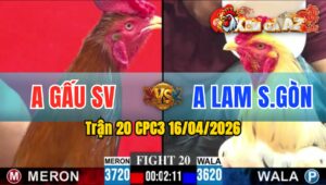 Trận 20 CPC3 16/04/2026 - Điều Đâm Bướm Gãy Giò Hết Sửa