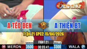 Trận 21 CPC2 15/04/2026 - Điều Quá Tốc Độ Hạ Bướm Nhanh Lẹ Sau 2 Tay Nước