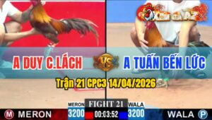 Trận 21 CPC3 14/04/2026 - Điều Vàng Đâm Quá Đâm  Điều Xanh Sách Đuôi Ra Sân