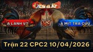 Trận 22 CPC2 10/04/2026 - Bướm Đá Trên Lưng Bưng Úa Ra Ngoài