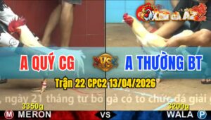 Trận 22 CPC2 13/04/2026 - Điều Đâm Quá Tịch Bướm Hư Hình Nằm Phụt Phút 90
