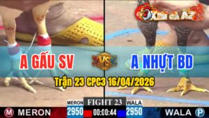 Trận 23 CPC3 16/04/2026 - Cú Đâm Bướm Vừa Ói Vừa Chạy