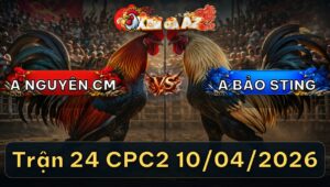 Trận 24 CPC2 10/04/2026 - Chuối Chấp Ngông Úa Đá 2 Chân Ói Tại Chỗ
