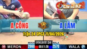 Trận 24 CPC3 11/04/2026 - TRẬN ĐẤU KỊCH TÍNH  ĐIÊU XANH LỌT CÂY  ĐIỀU VÀNG VỀ