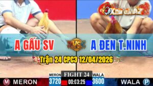 Trận 24 CPC3 12/04/2026 - Điều Thấm Đòn Không Gồng Nổi Phút Cuối