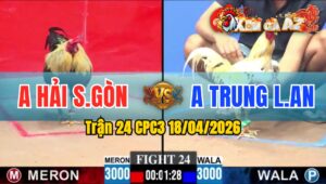 Trận 24 CPC3 18/04/2026 - Chuối Đâm Đầu Bướm Chết Trên Tay