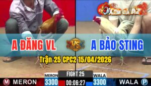 Trận 25 CPC2 15/04/2026 - Cú Giao Nạp Quá Tịch Bướm Bay Bồ Hết Sữa
