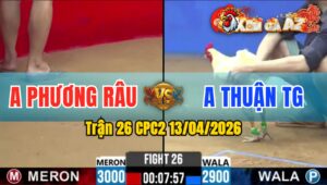 Trận 26 CPC2 13/04/2026 - Bướm Đâm Mu Lưng Úa Lìa Chân Bỏ Chạy