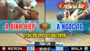 Trận 28 CPC2 11/04/2026 - Úa Đá 5 Chân Điều Ra Chân Úa Nằm Tại Chỗ