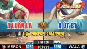 Trận 28 CPC2 12/04/2026 - Hai Con Trở Cựa Quá Hay Huề Đầy Cảm Xúc