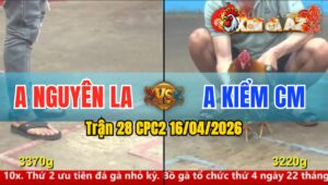 Trận 28 CPC2 16/04/2026 - Xám Chấp Ngông Và Cái Kết Đá Điều La Miệng