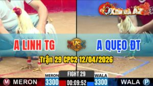 Trận 29 CPC2 12/04/2026 - Xanh Ra Chân Quá Lẹ Đỏ Hư Hình Bỏ Chạy