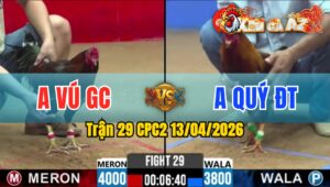 Trận 29 CPC2 13/04/2026 - Xanh Chấp Ngông Điều Đá Hư Hình Bỏ Chạy
