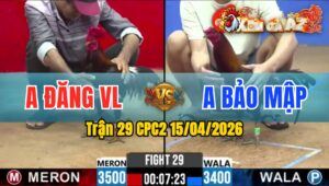 Trận 29 CPC2 15/04/2026 - Đỏ Đâm Quá Đâm Xanh Bay Bồ Bỏ Chạy