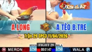 Trận 29 CPC3 11/04/2026 - ĐIỀU THẤM ĐÒN  BỎ CHẠY PHÚT CUỐI
