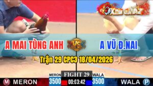 Trận 29 CPC3 18/04/2026 - Úa Chà Vài Chân  Điều Té Hết Sửa