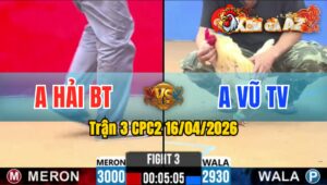 Trận 3 CPC2 16/04/2026 - Điều Đá Bo Quá Lớn Bướm Cấm Đầu Bỏ Chạy