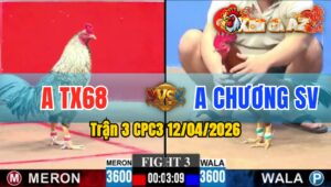 Trận 3 CPC3 12/04/2026 - ĐIỀU XIẾT CHƯA TỚI 1 TAY NƯỚC  CÚ GÃY CHÂN HÊT SỬA