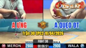 Trận 30 CPC2 18/04/2026 - Đỏ Giao Chân Quá Tịch Lụm Tiền Nhanh Lẹ