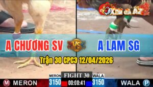 Trận 30 CPC3 12/04/2026 - Bướm Dí Bạc Và Cái Kết Xám Đâm Bưng Ra