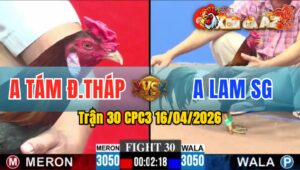 Trận 30 CPC3 16/04/2026 - Đỏ Nhảy Mấy Chân Có Kết Quả