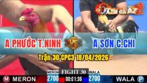 Trận 30 CPC3 18/04/2026 - Chuối Đâm Điều Hư Hình Hết Sửa