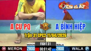 Trận 31 CPC2 11/04/2026 - Úa Lên Chân Vàng Lật Xe Nằm Tại Chỗ