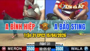 Trận 31 CPC2 15/04/2026 - Xanh Đâm Quá Tịch Đỏ Hư Hình Nằm Biệt
