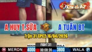 Trận 31 CPC2 16/04/2026 - Xanh Giao Chân Trên Lưng Đỏ Bưng Ra Ngoài