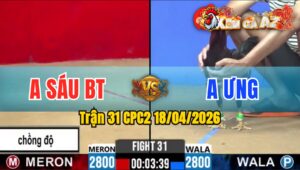 Trận 31 CPC2 18/04/2026 - Cú Quá Mau Lẹ Buông Đuôi Điều Nằm Biệt Sau 1 Tay Nước
