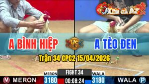 Trận 34 CPC2 15/04/2026 - Đỏ Đâm Trên Lưng Bưng Xanh Ra Ngoài