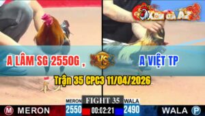 Trận 35 CPC3 11/04/2026 - CHUỐI ĐÂM KINH KHỦNG  ĐIỄU DÃY TẠI CHỖ