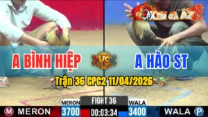 Trận 36 CPC2 11/04/2026 - 2 Con Rồng Tang Qua Lại Huề Phút Cuối Cùng