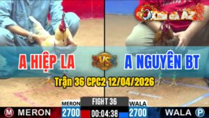 Trận 36 CPC2 12/04/2026 - Bướm Buôn Đuôi Cú Hư Hình Hết Sữa