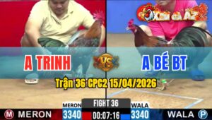 Trận 36 CPC2 15/04/2026 - Đỏ Giao Chân Quá Tốt Xanh Nằm Chết Tại Chỗ