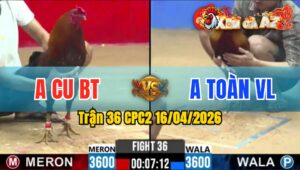 Trận 36 CPC2 16/04/2026 - Xanh Đâm Như Xôm Đỏ Ói Nằm 1 Đống