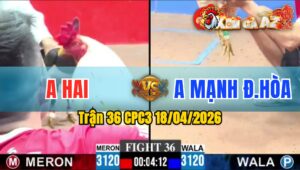 Trận 36 CPC3 18/04/2026 - Bướm Đâm Điều Hư Hình Hết Sửa