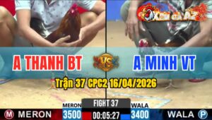 Trận 37 CPC2 16/04/2026 - Bông Đá 1 Tay Nước Điều Chùi Chết Trong Chân