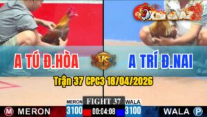 Trận 37 CPC3 18/04/2026 - Cú kêu Điều Tử và Cái Kết Buông Chạy
